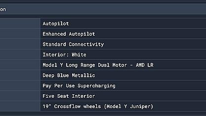 Configuration view with decoded Tesla option codes.